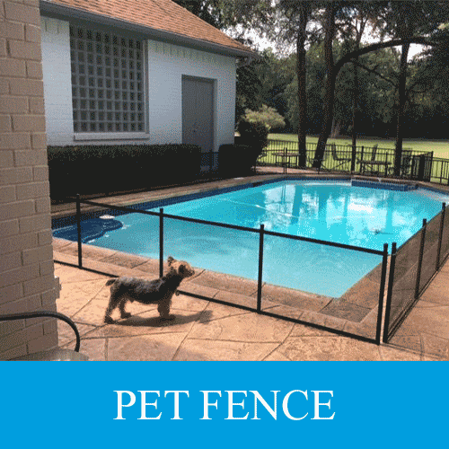 pet fence Keeping this little puppy safe with a two foot tall pet fence in Mansfield